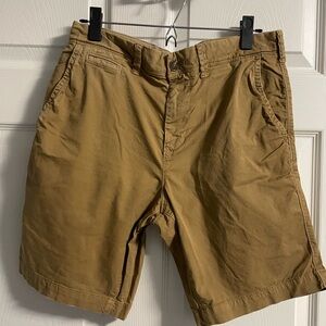 American Eagle Dark Tan Slim Ne(x)t Level Flex Shorts